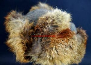 WH/LW, Gorro de Invierno 